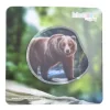 Coupon 🎉 Schulranzen & -tüten Ergobag Kontur-Klettie Grizzly Bär Günstig Kaufen ✨ 5
